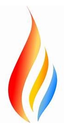 Insightful-Tech Company logo
